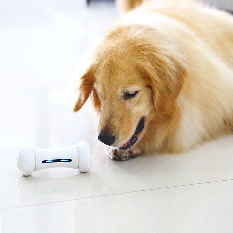 Dog Toys