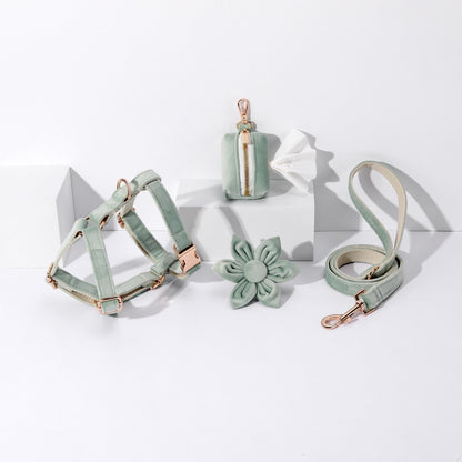 STEP IN FLORAL BUNDLE - LIGHT MINT GREEN (4 pieces)-0